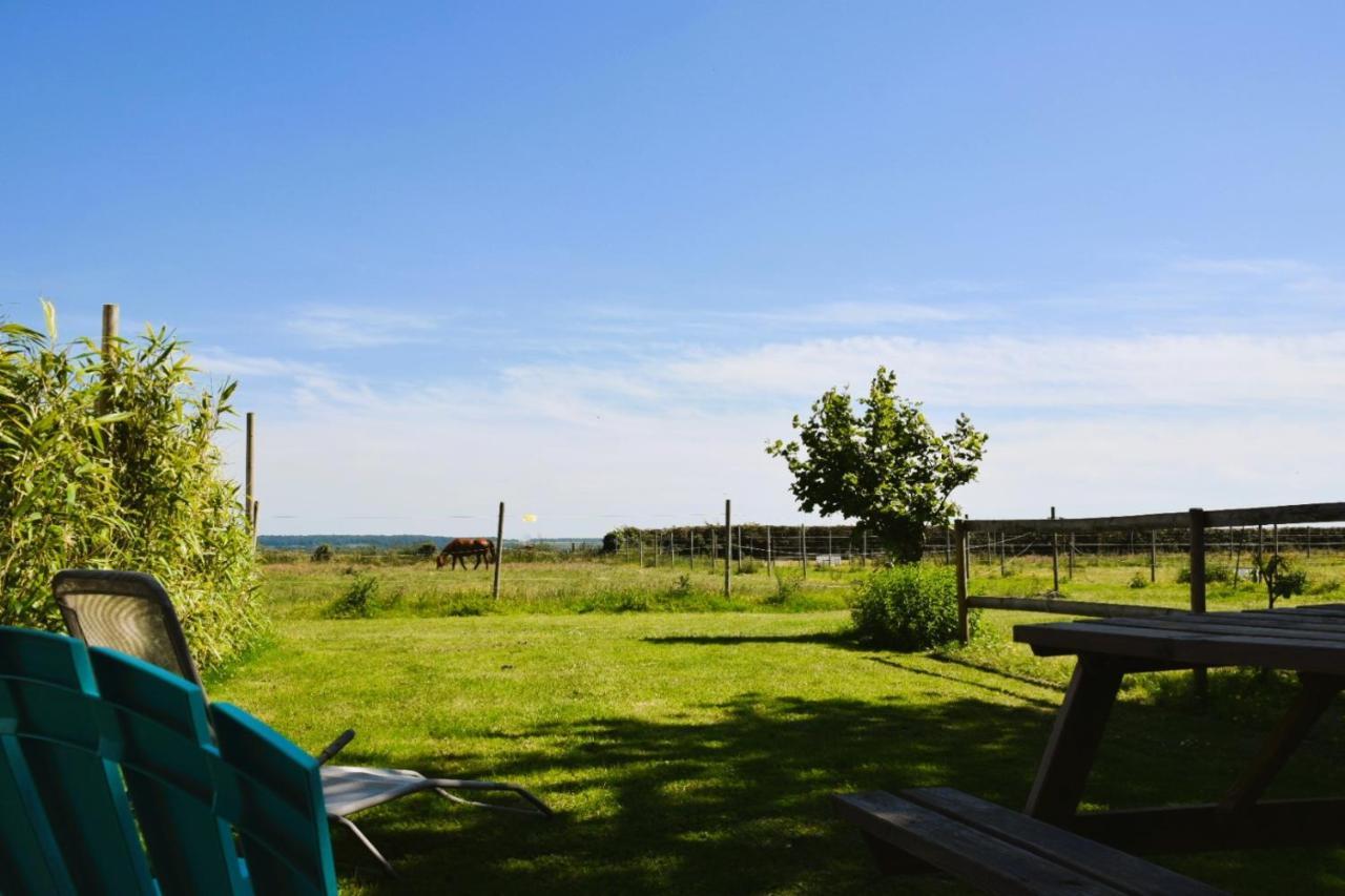 Le Clos De L'Angley Gites Et Ecurie Caffiers エクステリア 写真