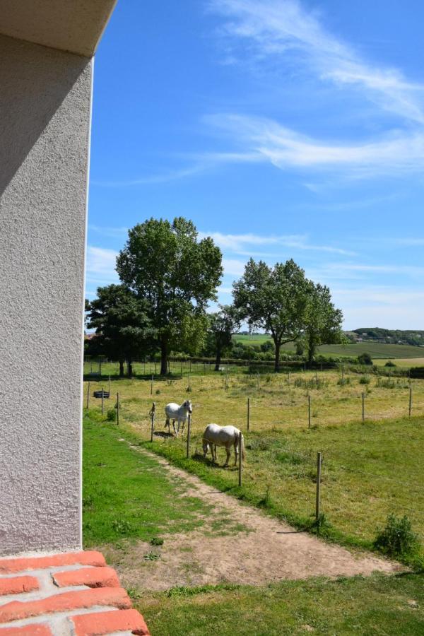 Le Clos De L'Angley Gites Et Ecurie Caffiers エクステリア 写真