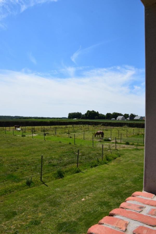 Le Clos De L'Angley Gites Et Ecurie Caffiers エクステリア 写真
