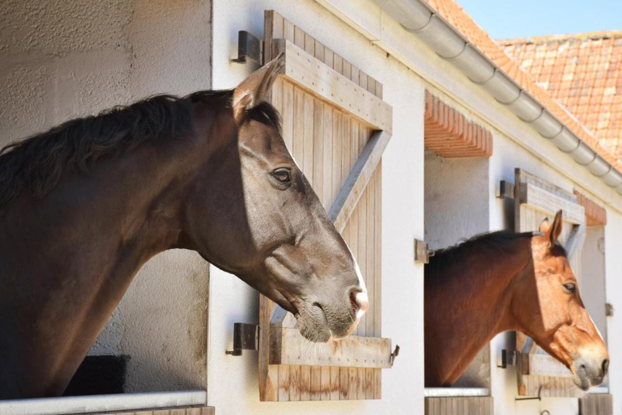 Le Clos De L'Angley Gites Et Ecurie Caffiers エクステリア 写真
