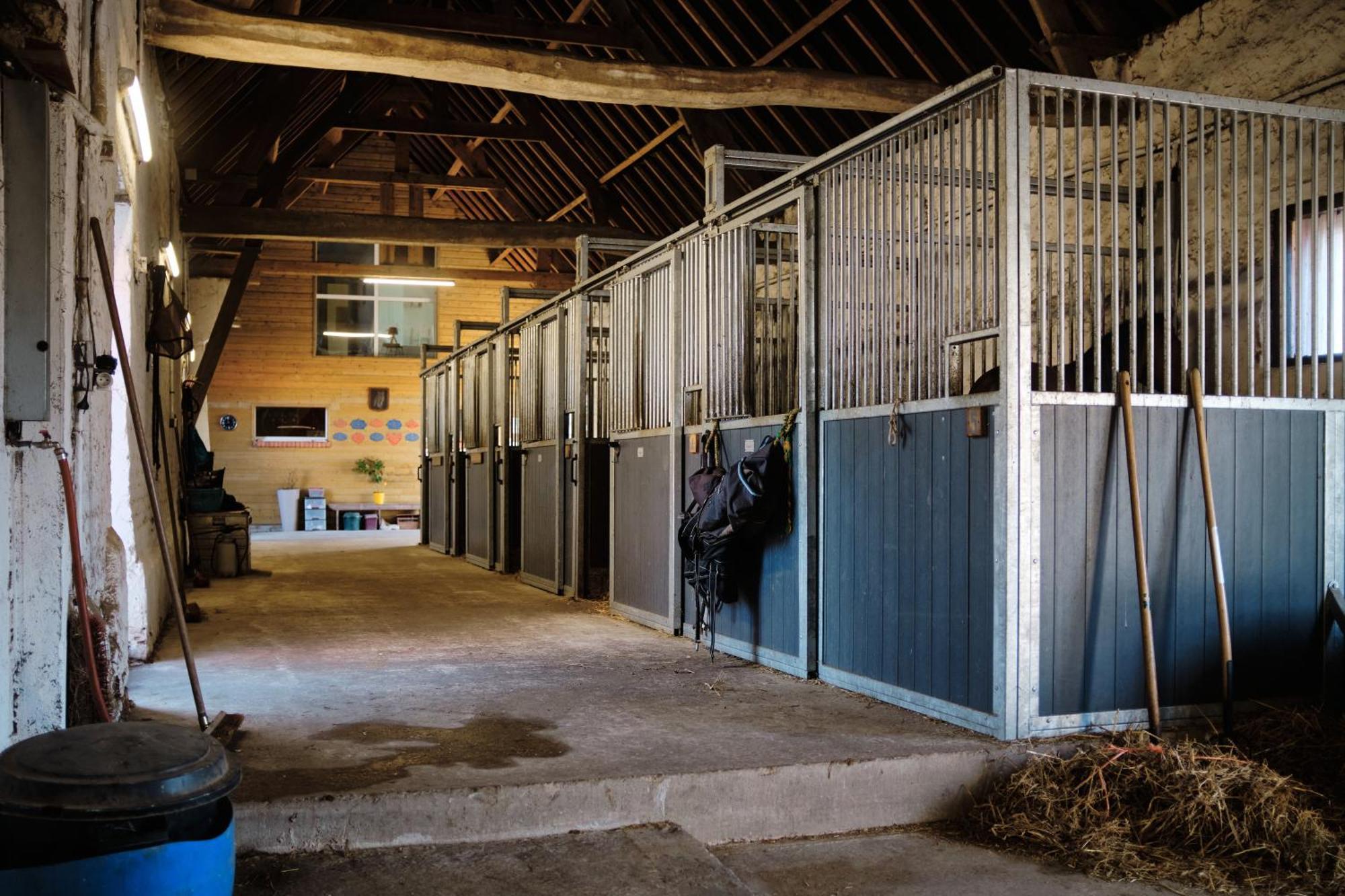 Le Clos De L'Angley Gites Et Ecurie Caffiers エクステリア 写真